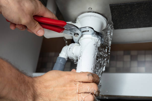 Best Flooded house restoration  in Sterling, VA