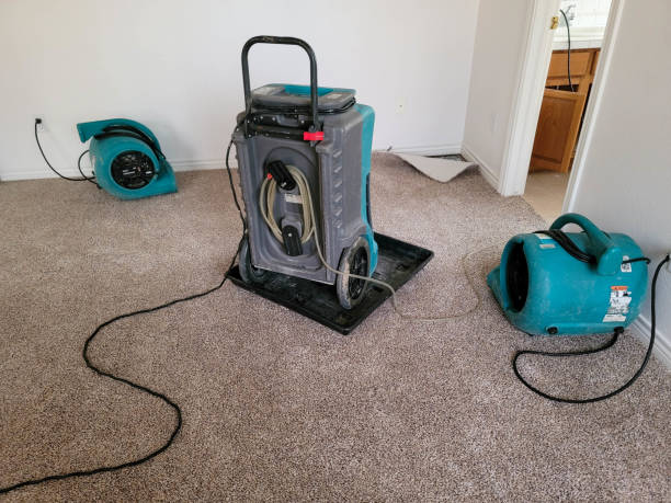 Best 24/7 water damage repair  in Sterling, VA