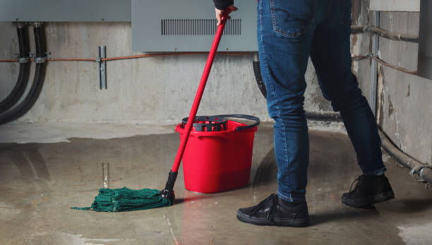 Best Water damage cleanup near me  in Sterling, VA