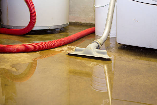 Best Professional water damage repair  in Sterling, VA